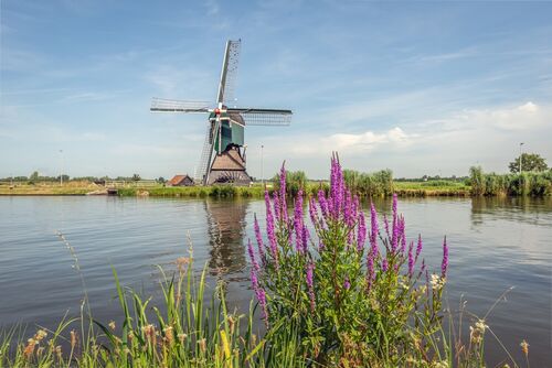 Foto: Lexmond aan de Lek (Shutterstock)