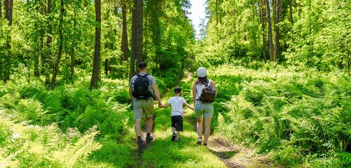 'De data zijn overtuigend en laten zien dat natuurinterventies effect hebben op gezondheid en welzijn.' (Foto: Shutterstock)