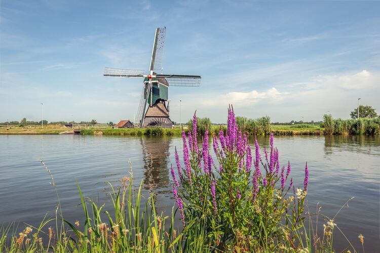 Foto: Lexmond aan de Lek (Shutterstock)
