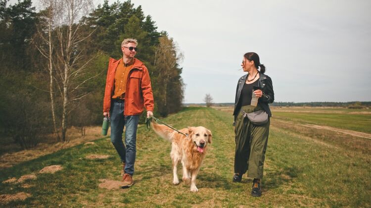 De campagne 'Stap uit je hoofd, in het groen' is vanaf 21 september online (Foto: Shutterstock)