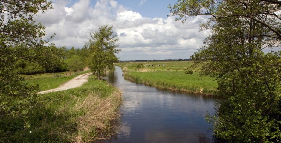 De Unie van Waterschappen stuurde in april een brief naar het College ter Beoordeling van Geneesmiddelen over de schadelijke effecten van deze pijnstillers. (Foto: Shutterstock)