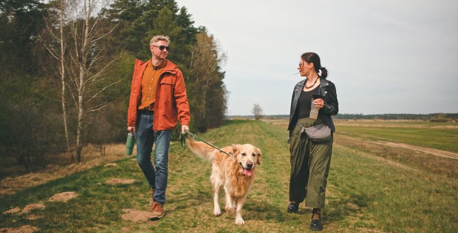 De campagne 'Stap uit je hoofd, in het groen' is vanaf 21 september online (Foto: Shutterstock)
