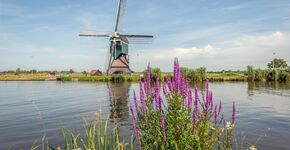 Foto: Lexmond aan de Lek (Shutterstock)