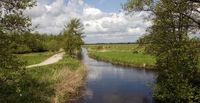 De Unie van Waterschappen stuurde in april een brief naar het College ter Beoordeling van Geneesmiddelen over de schadelijke effecten van deze pijnstillers. (Foto: Shutterstock)
