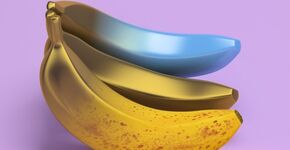 Blauwe banaan