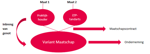 Casus 3 Tandarts en zzp