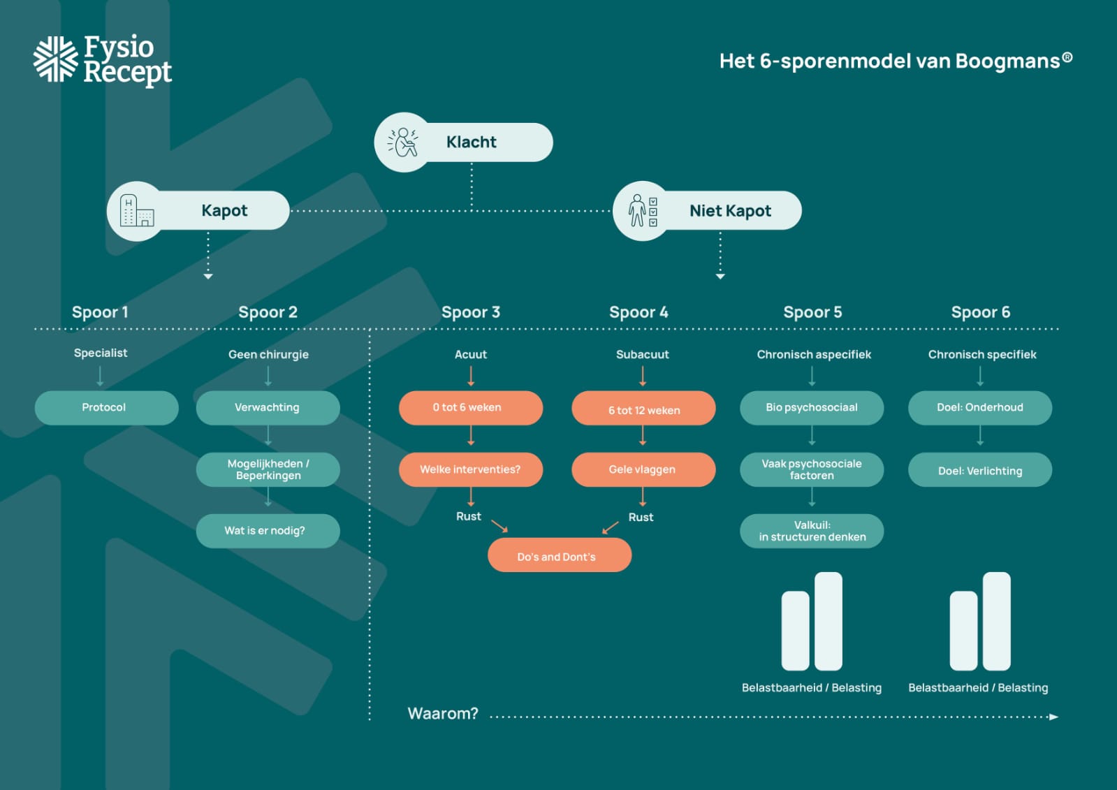 Het 6-sporenmodel van FysioRecept Jeroen Boogmans