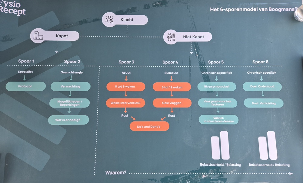 6-sporenmodel van Jeroen Boogmans/FysioRecept